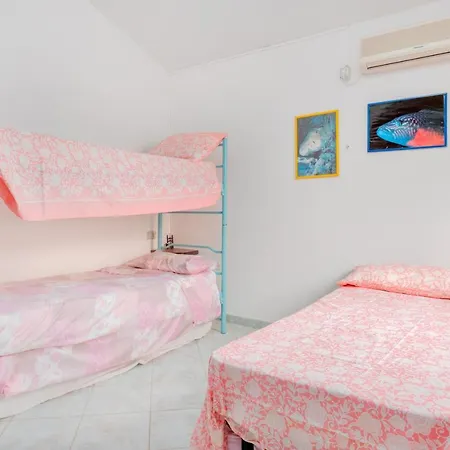 Bouganville Nuragheddu